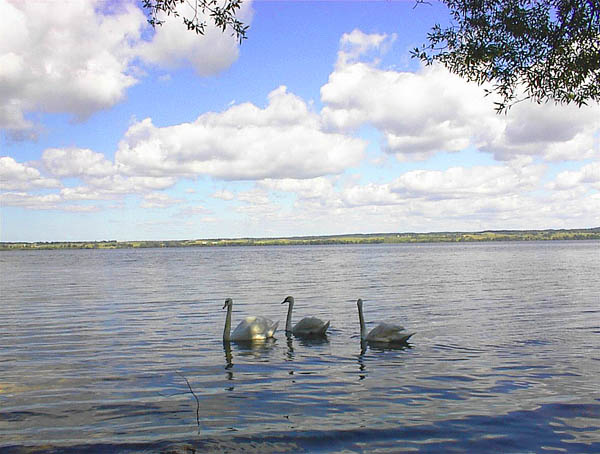 Vištyčio ežero pakrantė